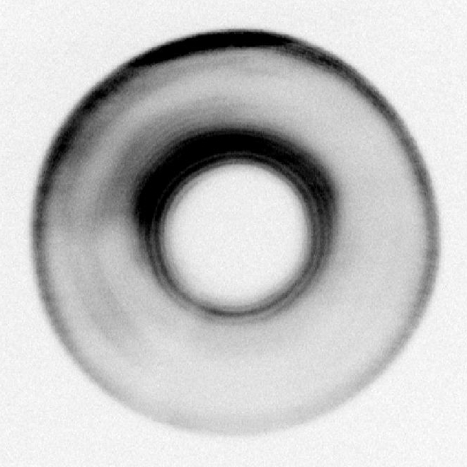 ring1