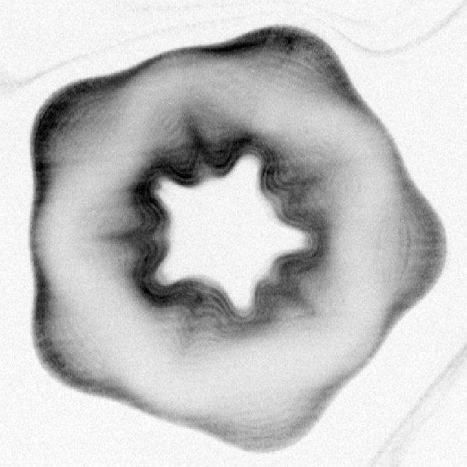 ring2