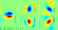 dipole-wall impact
